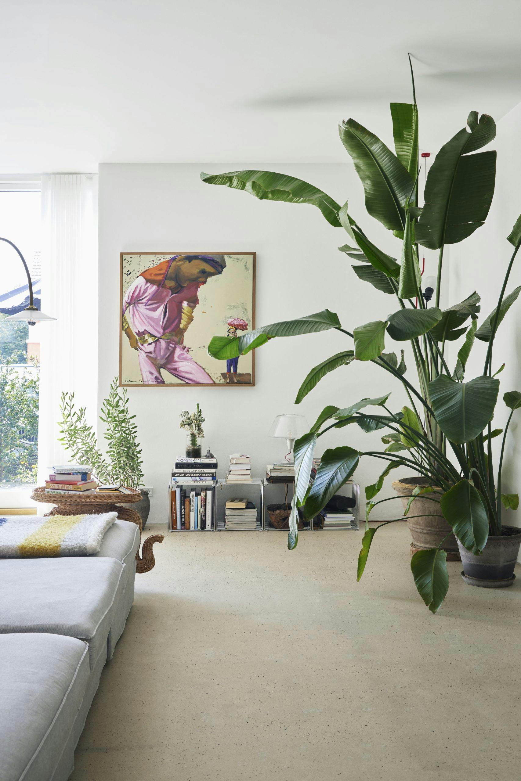 Bongusta240622 Stor plante i stue